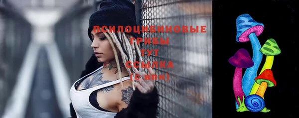 гашик Белоозёрский
