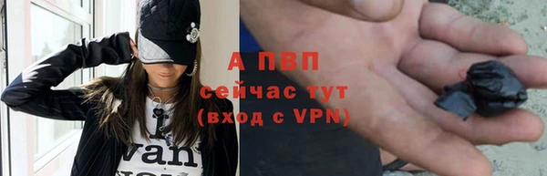 спайс Беломорск